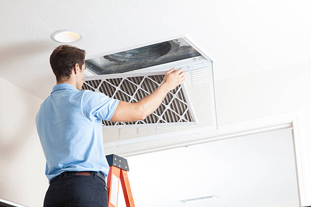 Best HVAC air duct cleaning  in Hampton, AR